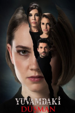 Сериал Враг в моем доме