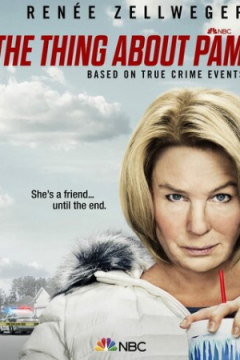 Сериал Кое-что о Пэм