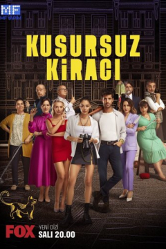 Сериал Идеальный арендатор