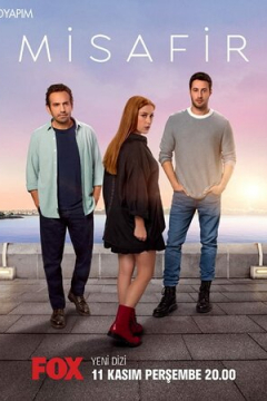 Сериал Гость